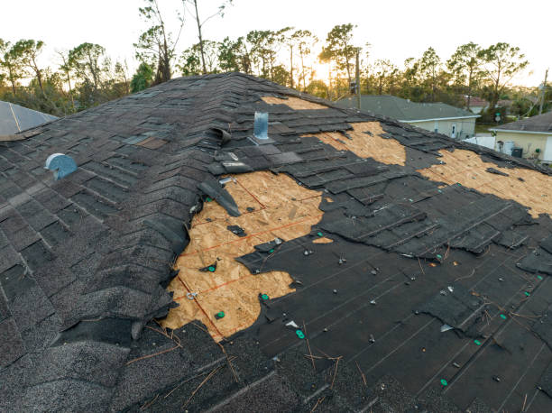 Best Asphalt Shingles Roofing  in Sand Hill, PA